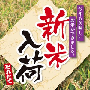 imgrc00923507241